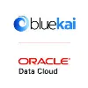 BlueKai BlueKai
