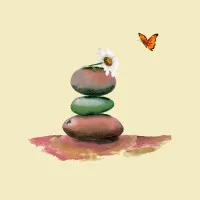 Wellness Studios Inc. Wellness Studios Inc.