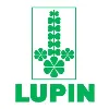 Lupin