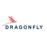 Dragonfly, LLC