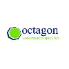 Octagon Construction (pty) ltd