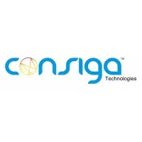 CONSIGA TECHNOLOGIES INC