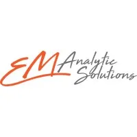 EM Analytic Solutions