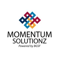 Momentum Solutionz