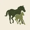 Plum Creek Recovery Ranch