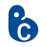 BERICO SALES AND SERVICES PRIVATE LIMITED