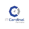 IT Cardinal Partners LLC IT Cardinal Partners LLC