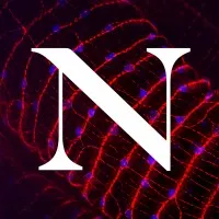 Northeastern University College of Science