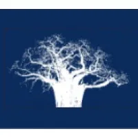 Pan African Capital Group, LLC