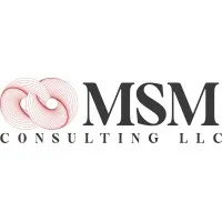 MSM Consulting, LLC