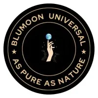 Blumoon Universal Private Limited 