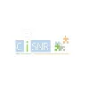 Center for Intelligent Systems and Network Research (CISNR)