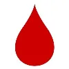 The Leukemia & Lymphoma Society The Leukemia & Lymphoma Society