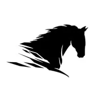 Black Horse Animation & Design