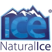 ICE NATURAL ICE INDUSTRY LLC