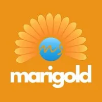 Marigold Services - Pakistan