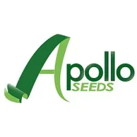 Apollo Seeds USA