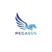 Pegasus Venture Group
