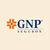GNP Seguros GNP Seguros