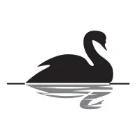 Black Swan Consultancy New Zealand
