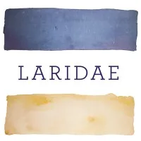 Laridae