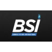 Burner Systems International