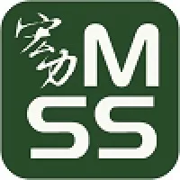 Megastrength Security Services email format