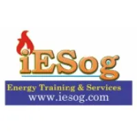 INTEGRATED ELVEE SERVICES LTD