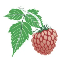 Salmon Berry Travel & Tours, LLC