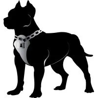 Pitt Bull Secure Technologies, Inc.