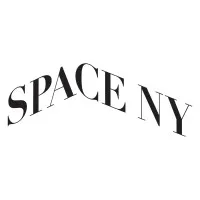 SPACE NY Consulting