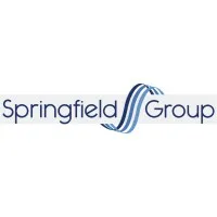 The Springfield Group