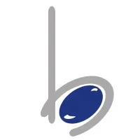 BlueStone Tech Labs Pvt Ltd BlueStone Tech Labs Pvt Ltd