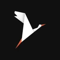 White Stork White Stork