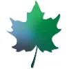 MapleTronics MapleTronics