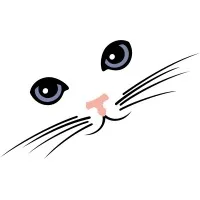 Cat Hospital Of Austin