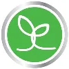 TOUCHSTONE ESSENTIALS TOUCHSTONE ESSENTIALS