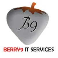 BERRY9 IT SERVICES (B9ITS)