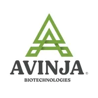 Avinja