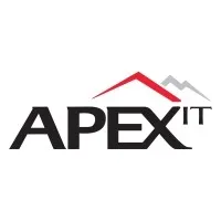 NGI Apex IT India Pvt Ltd