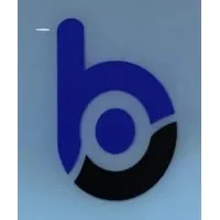 BlinksWeb Technology
