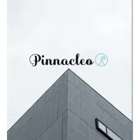 Pinnacleo Pvt Ltd