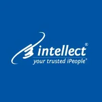 Intellect IP Group