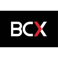 BCX NIGERIA