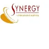 Synergy Consultancy Service