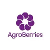 AgroBerries AgroBerries