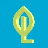 Lysterra LLC