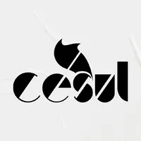 Cesul - Centro Sulamericano De Ensino Superior