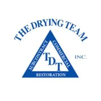 TDT - The Drying Team