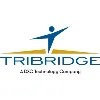 Tribridge Tribridge